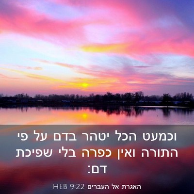 Picture 03 - האגרת אל העברים 9:22 HEB - וכמעט הכל יטהר בדם על פי - Bible Verse Picture