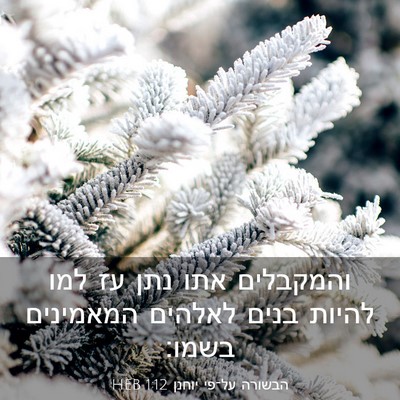 Picture 03 - הבשורה על־פי יוחנן 1:12 HEB - והמקבלים אתו נתן עז למו - Bible Verse Picture