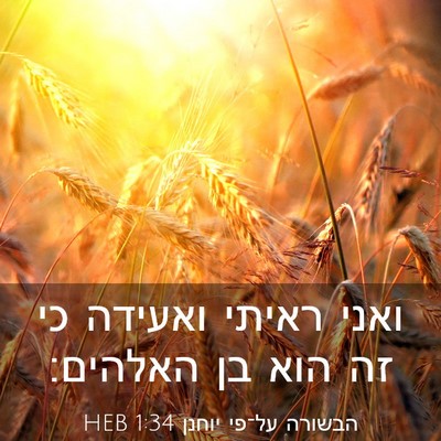 Picture 03 - הבשורה על־פי יוחנן 1:34 HEB - ואני ראיתי ואעידה כי זה הוא - Bible Verse Picture