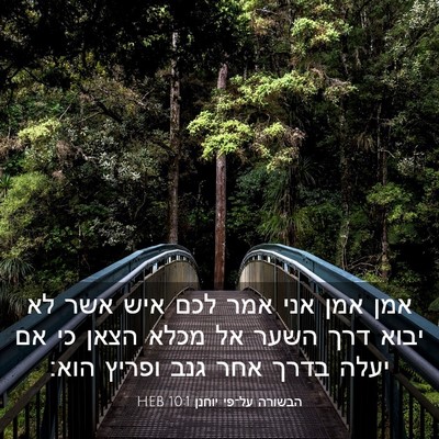 Picture 03 - הבשורה על־פי יוחנן 10:1 HEB - אמן אמן אני אמר לכם איש אשר - Bible Verse Picture