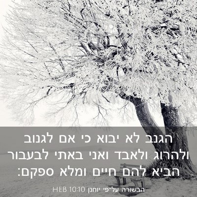 Picture 03 - הבשורה על־פי יוחנן 10:10 HEB - הגנב לא יבוא כי אם לגנוב - Bible Verse Picture