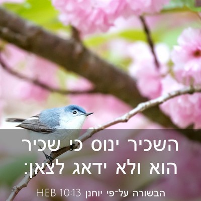 Picture 03 - הבשורה על־פי יוחנן 10:13 HEB - השכיר ינוס כי שכיר הוא ולא - Bible Verse Picture