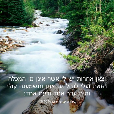 Picture 03 - הבשורה על־פי יוחנן 10:16 HEB - וצאן אחרות יש לי אשר אינן - Bible Verse Picture