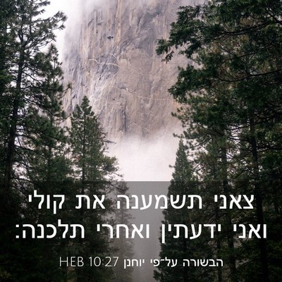 Picture 03 - הבשורה על־פי יוחנן 10:27 HEB - צאני תשמענה את קולי ואני - Bible Verse Picture