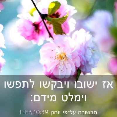 Picture 03 - הבשורה על־פי יוחנן 10:39 HEB - אז ישובו ויבקשו לתפשו - Bible Verse Picture