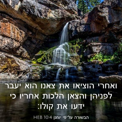 Picture 03 - הבשורה על־פי יוחנן 10:4 HEB - ואחרי הוציאו את צאנו הוא - Bible Verse Picture