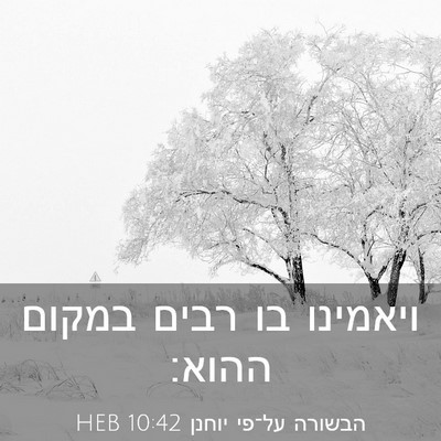 Picture 03 - הבשורה על־פי יוחנן 10:42 HEB - ויאמינו בו רבים במקום - Bible Verse Picture