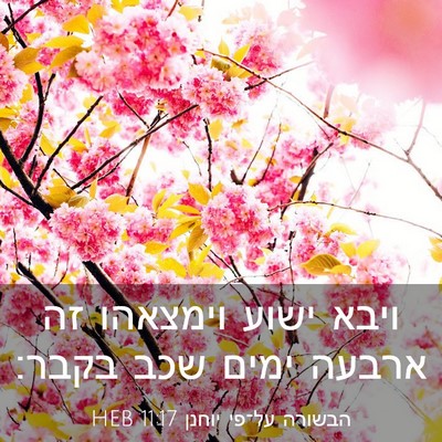 Picture 03 - הבשורה על־פי יוחנן 11:17 HEB - ויבא ישוע וימצאהו זה ארבעה - Bible Verse Picture