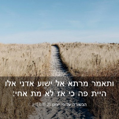 Picture 03 - הבשורה על־פי יוחנן 11:21 HEB - ותאמר מרתא אל ישוע אדני אלו - Bible Verse Picture