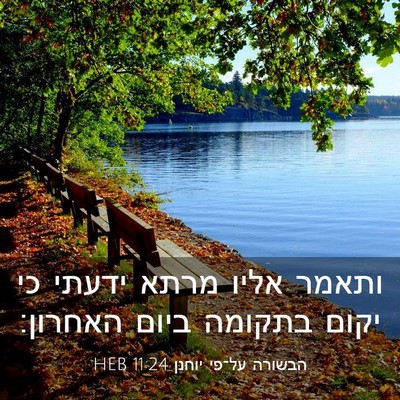 Picture 03 - הבשורה על־פי יוחנן 11:24 HEB - ותאמר אליו מרתא ידעתי כי - Bible Verse Picture