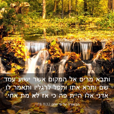 Picture 03 - הבשורה על־פי יוחנן 11:32 HEB - ותבא מרים אל המקום אשר ישוע - Bible Verse Picture