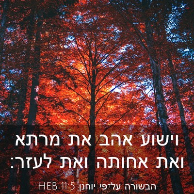 Picture 03 - הבשורה על־פי יוחנן 11:5 HEB - וישוע אהב את מרתא ואת אחותה - Bible Verse Picture