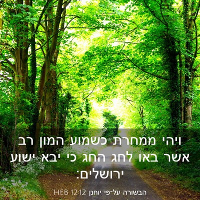 Picture 03 - הבשורה על־פי יוחנן 12:12 HEB - ויהי ממחרת כשמוע המון רב - Bible Verse Picture