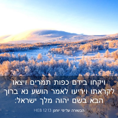 Picture 03 - הבשורה על־פי יוחנן 12:13 HEB - ויקחו בידם כפות תמרים - Bible Verse Picture