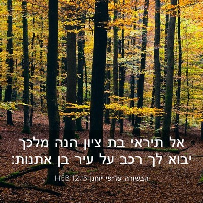 Picture 03 - הבשורה על־פי יוחנן 12:15 HEB - אל תיראי בת ציון הנה מלכך - Bible Verse Picture