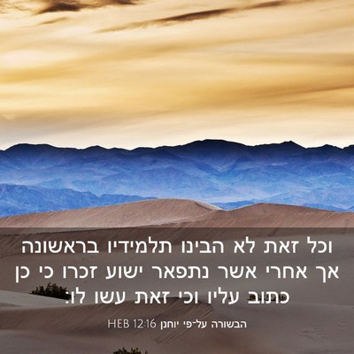Picture 03 - הבשורה על־פי יוחנן 12:16 HEB - וכל זאת לא הבינו תלמידיו - Bible Verse Picture