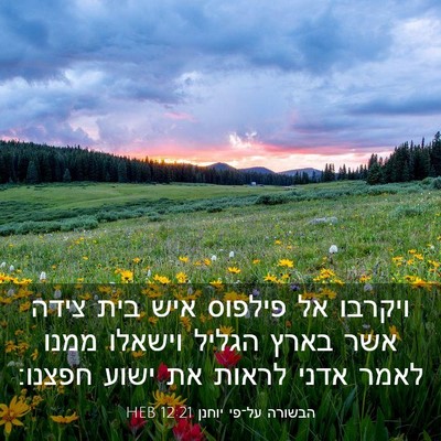 Picture 03 - הבשורה על־פי יוחנן 12:21 HEB - ויקרבו אל פילפוס איש בית - Bible Verse Picture