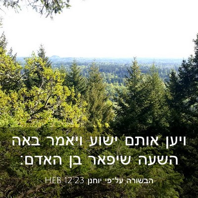 Picture 03 - הבשורה על־פי יוחנן 12:23 HEB - ויען אותם ישוע ויאמר באה - Bible Verse Picture