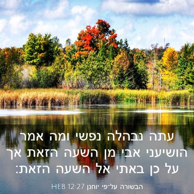 Picture 03 - הבשורה על־פי יוחנן 12:27 HEB - עתה נבהלה נפשי ומה אמר - Bible Verse Picture