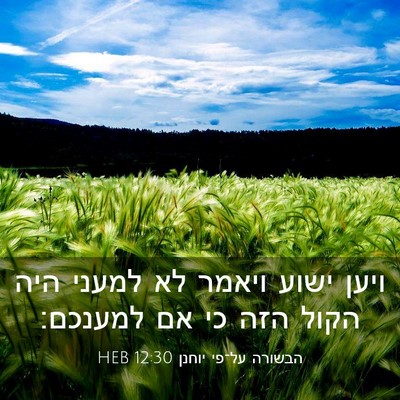 Picture 03 - הבשורה על־פי יוחנן 12:30 HEB - ויען ישוע ויאמר לא למעני - Bible Verse Picture