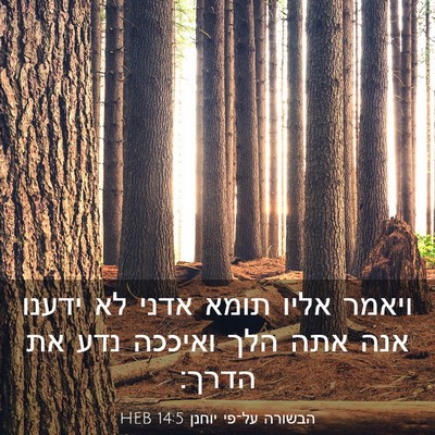 Picture 03 - הבשורה על־פי יוחנן 14:5 HEB - ויאמר אליו תומא אדני לא - Bible Verse Picture