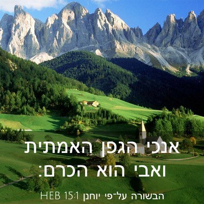 Picture 03 - הבשורה על־פי יוחנן 15:1 HEB - אנכי הגפן האמתית ואבי הוא - Bible Verse Picture