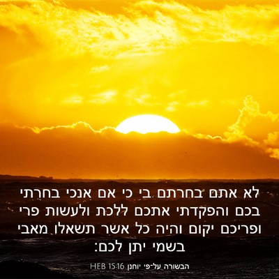 Picture 03 - הבשורה על־פי יוחנן 15:16 HEB - לא אתם בחרתם בי כי אם אנכי - Bible Verse Picture