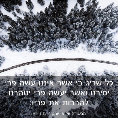 Picture 03 - הבשורה על־פי יוחנן 15:2 HEB - כל שריג בי אשר איננו עשה - Bible Verse Picture
