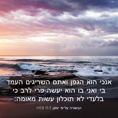 Picture 03 - הבשורה על־פי יוחנן 15:5 HEB - אנכי הוא הגפן ואתם השריגים - Bible Verse Picture
