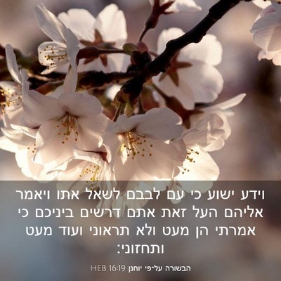 Picture 03 - הבשורה על־פי יוחנן 16:19 HEB - וידע ישוע כי עם לבבם לשאל - Bible Verse Picture