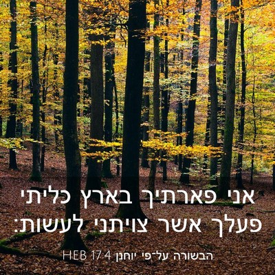 Picture 03 - הבשורה על־פי יוחנן 17:4 HEB - אני פארתיך בארץ כליתי פעלך - Bible Verse Picture