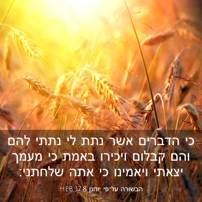 Picture 03 - הבשורה על־פי יוחנן 17:8 HEB - כי הדברים אשר נתת לי נתתי - Bible Verse Picture