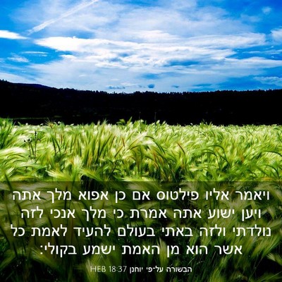 Picture 03 - הבשורה על־פי יוחנן 18:37 HEB - ויאמר אליו פילטוס אם כן - Bible Verse Picture