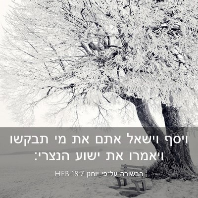 Picture 03 - הבשורה על־פי יוחנן 18:7 HEB - ויסף וישאל אתם את מי תבקשו - Bible Verse Picture