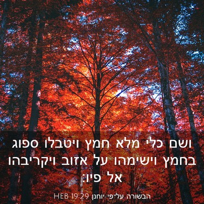 Picture 03 - הבשורה על־פי יוחנן 19:29 HEB - ושם כלי מלא חמץ ויטבלו ספוג - Bible Verse Picture