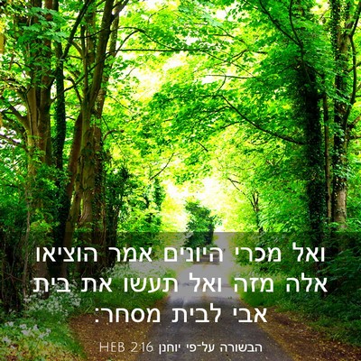 Picture 03 - הבשורה על־פי יוחנן 2:16 HEB - ואל מכרי היונים אמר הוציאו - Bible Verse Picture