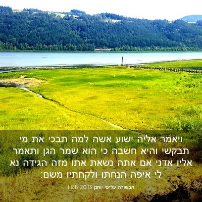 Picture 03 - הבשורה על־פי יוחנן 20:15 HEB - ויאמר אליה ישוע אשה למה - Bible Verse Picture