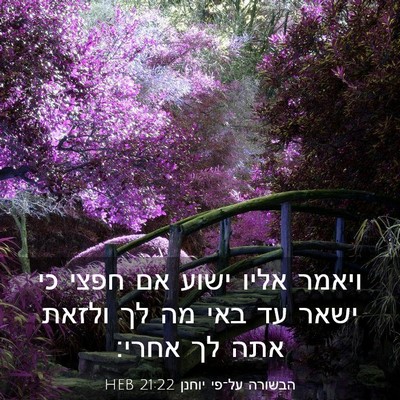 Picture 03 - הבשורה על־פי יוחנן 21:22 HEB - ויאמר אליו ישוע אם חפצי כי - Bible Verse Picture