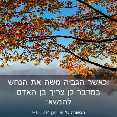 Picture 03 - הבשורה על־פי יוחנן 3:14 HEB - וכאשר הגביה משה את הנחש - Bible Verse Picture