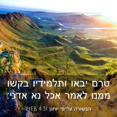 Picture 03 - הבשורה על־פי יוחנן 4:31 HEB - טרם יבאו ותלמידיו בקשו - Bible Verse Picture