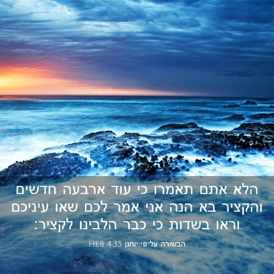Picture 03 - הבשורה על־פי יוחנן 4:35 HEB - הלא אתם תאמרו כי עוד ארבעה - Bible Verse Picture