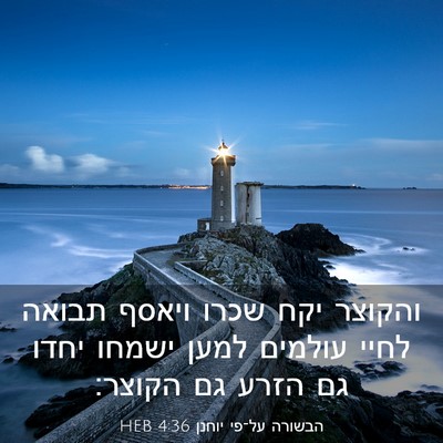 Picture 03 - הבשורה על־פי יוחנן 4:36 HEB - והקוצר יקח שכרו ויאסף - Bible Verse Picture