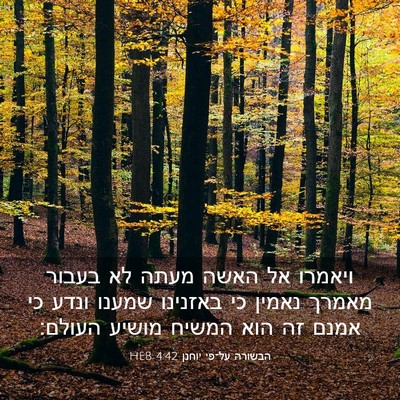 Picture 03 - הבשורה על־פי יוחנן 4:42 HEB - ויאמרו אל האשה מעתה לא - Bible Verse Picture