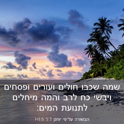Picture 03 - הבשורה על־פי יוחנן 5:3 HEB - שמה שכבו חולים ועורים - Bible Verse Picture