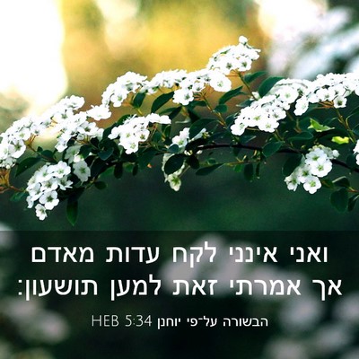 Picture 03 - הבשורה על־פי יוחנן 5:34 HEB - ואני אינני לקח עדות מאדם אך - Bible Verse Picture