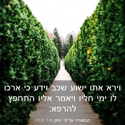 Picture 03 - הבשורה על־פי יוחנן 5:6 HEB - וירא אתו ישוע שכב וידע כי - Bible Verse Picture