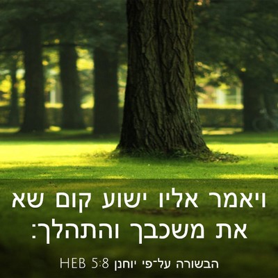 Picture 03 - הבשורה על־פי יוחנן 5:8 HEB - ויאמר אליו ישוע קום שא את - Bible Verse Picture