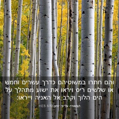 Picture 03 - הבשורה על־פי יוחנן 6:19 HEB - והם חתרו במשוטיהם כדרך - Bible Verse Picture