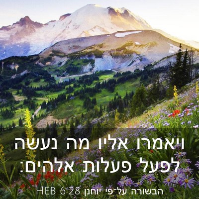 Picture 03 - הבשורה על־פי יוחנן 6:28 HEB - ויאמרו אליו מה נעשה לפעל - Bible Verse Picture