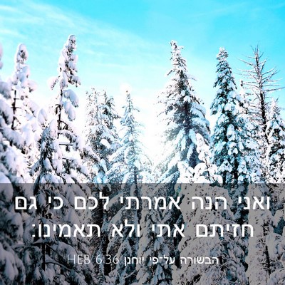 Picture 03 - הבשורה על־פי יוחנן 6:36 HEB - ואני הנה אמרתי לכם כי גם - Bible Verse Picture